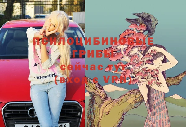 синтетический гашиш Ельня