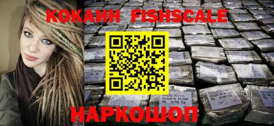 гашик Моздок