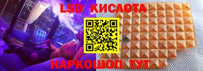 гашик Моздок