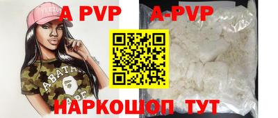 гашик Моздок