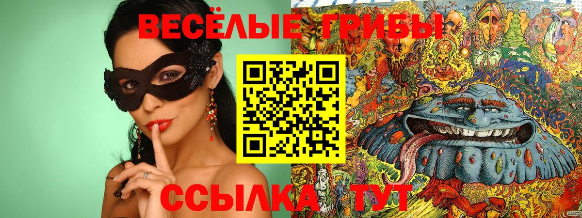 Волгоград  Галлюциногенные грибы мицелий  Вход с VPN 